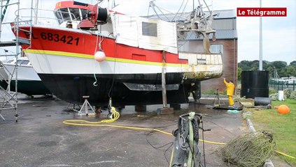 Un an avec Glen. Nettoyage de printemps pour L'Auglya