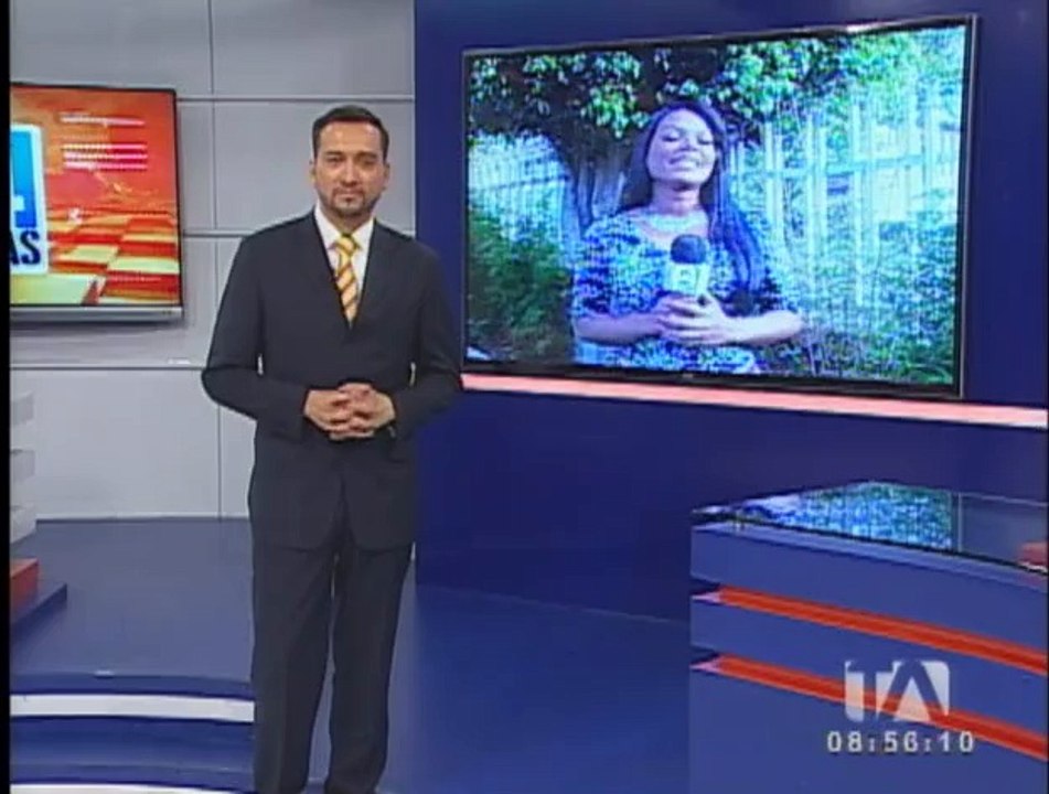Perrita busca ayuda