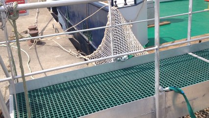 Mise en service officielle de l'Atlantique