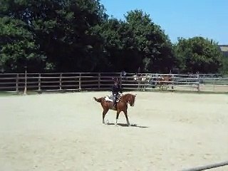 Celia reining cunière