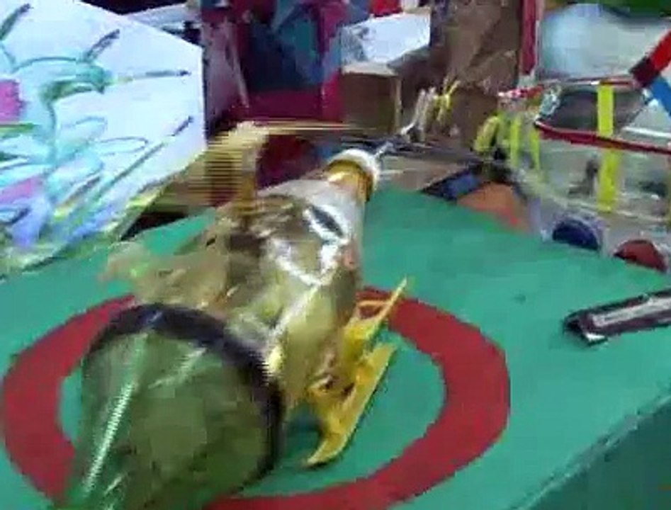 VT Superdotados