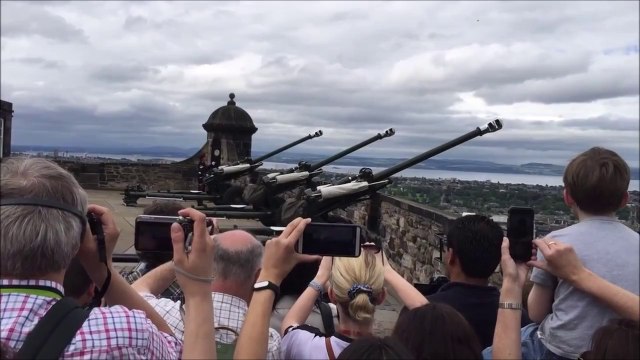 Un oiseau presque tué par un coup de canon au chateau d'Edimburgh... Chanceux