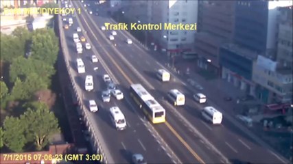 Une mouette provoque un carambolage sur l'autoroute