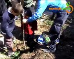 Naranjamanía en la plantación de árboles frutales de Fallen Fruits en Madrid