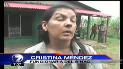 Rescatan manigordo deshidratado que permanecía en cautiverio en San Carlos  