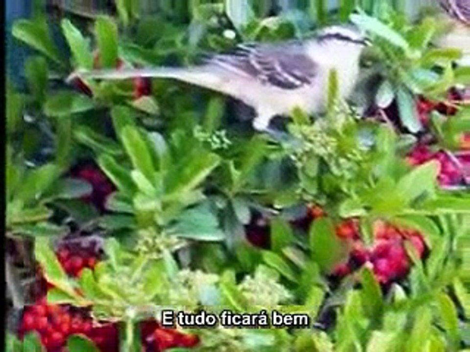 Rita coolidge -  We are all alone