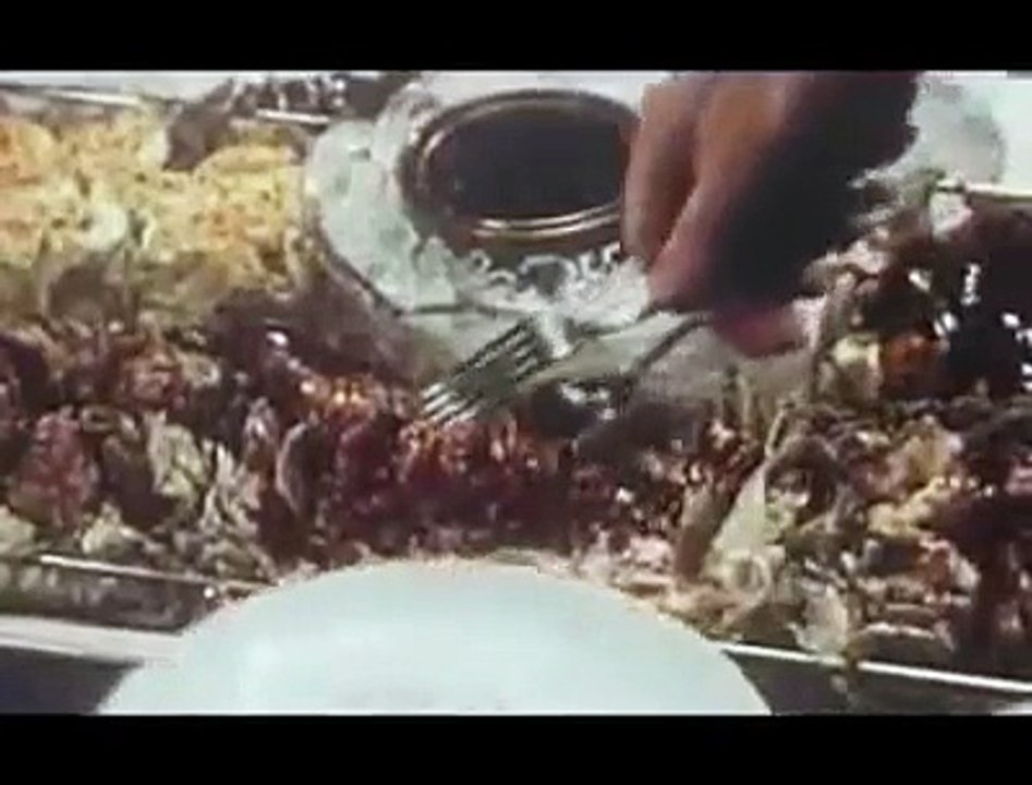 Pan Am introduction to jet service
