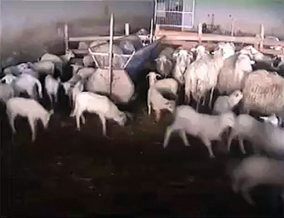 SANLURI