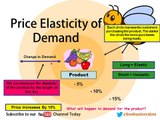 Elasticity of Demand (PED) Bee Business Bee Lesson