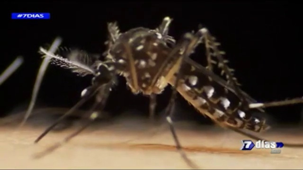 Con el dengue lo peor está por venir