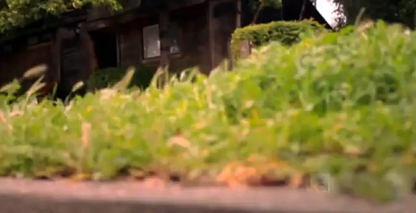 Killer Instinct ~ Final Confession