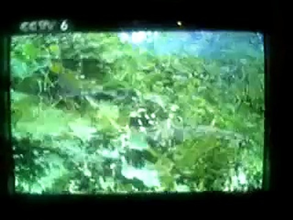 抗日ドラマその２