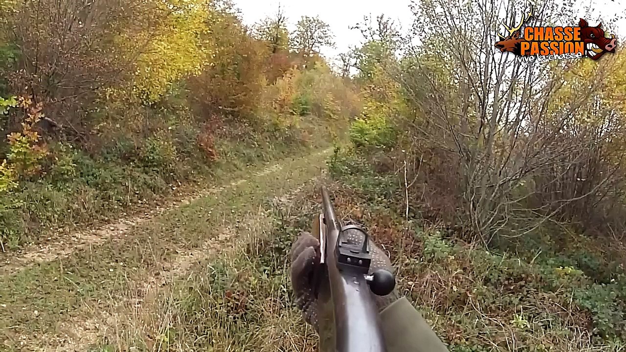 Chasse au Grand Gibier - Des battues intenses (TRAILER)