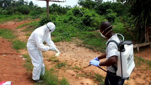 AFP - Le JT, 2ème édition du mercredi 1er juillet. Durée: 01:50