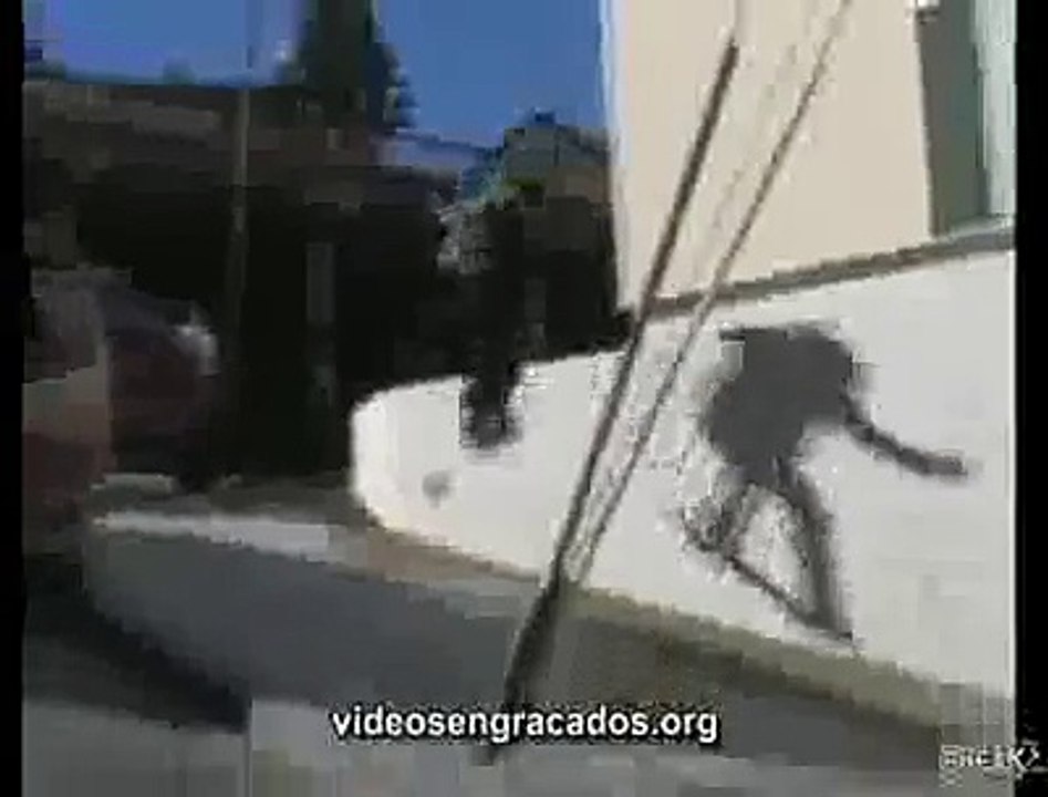 skatista