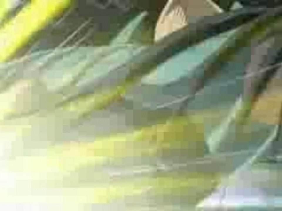 Saint.Seiya.Amv.-.Nighwish.-.Wishmaster