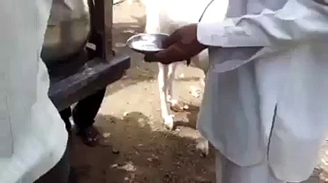India Pictures Funny Pics 3