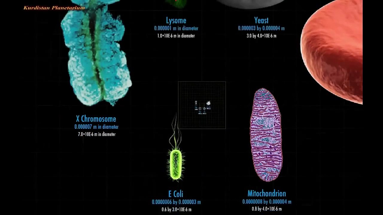 Microcosm to Macrocosm: An Epic Journey from the Heart of Atom to the Universe