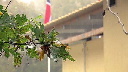 Joint Deployable Exploitation and Analysis Laboratory (JDEAL) - powered by EDA