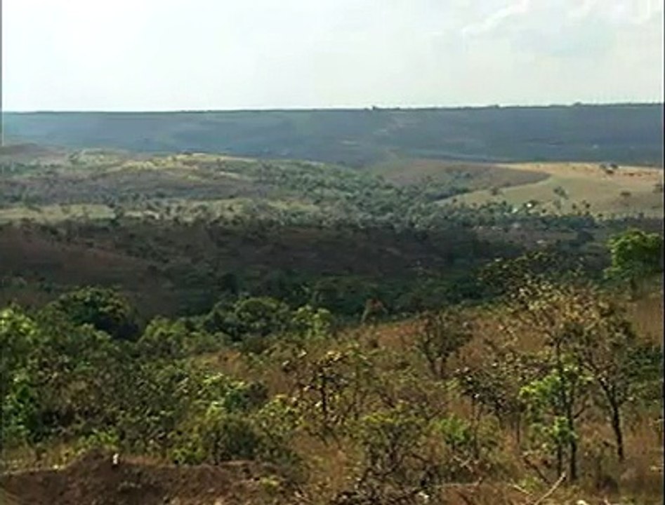 lixao contamina nascente corumba
