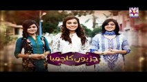 Chirryon Ka Chamba Episode 48 Full Hum Sitaray Drama July 1, 2015