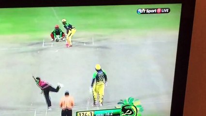 A 143.7 yorker delivery by shahid afridi in cplt20