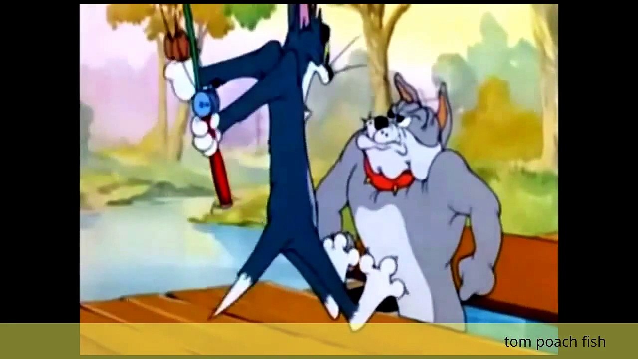 tom and jerry- tom poach fish