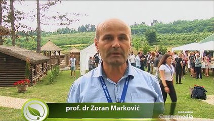 Istraživali smo: Kakvo je stanje ribarstva u našoj zemlji?_404_13.06.2015.