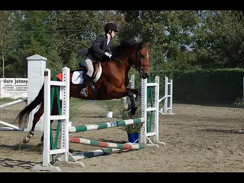 Gara salto ostacoli cat. 80