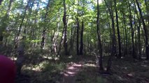 2015 - 06 LCO WE VTT - Raid des Cadoles - 16 sous bois