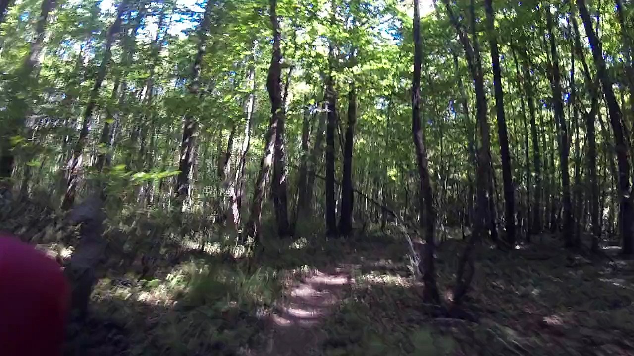 2015 - 06 LCO WE VTT - Raid des Cadoles - 16 sous bois