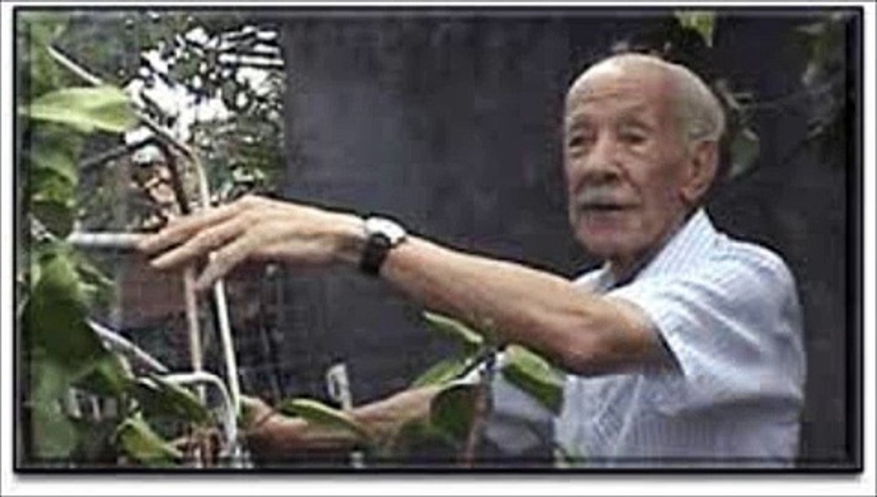 8.AD RUHEGH