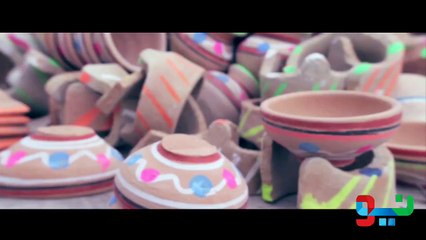 PakistaNEO ka MARDAN, NEO TV Special Report