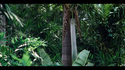 #4 M. Masrani découvre l'Indominus Rex - Clip #4 M. Masrani découvre l'Indominus Rex (Français)