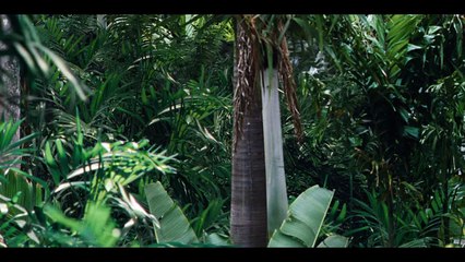 #4 M. Masrani découvre l'Indominus Rex - Extrait #4 M. Masrani découvre l'Indominus Rex (Anglais sous-titré français)