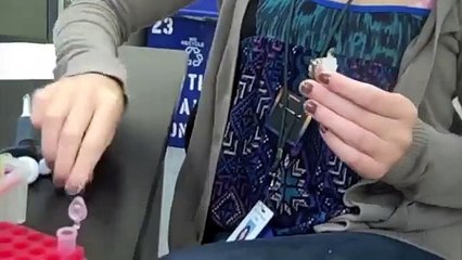 How to run a PCR (Polymerase Chain Reaction)