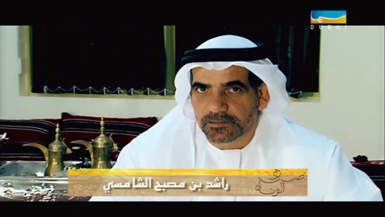 تربية وترويض الخيول في الامارات 2014