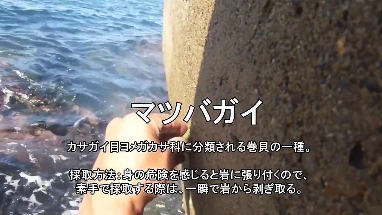 2泊3日海のある生活in青森　第一話～海釣りで食料調達！そしてキャンプ地探す！～