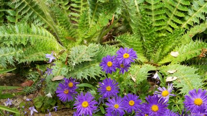 Stunning Hidcote Manor Garden - Cotswolds Attractions