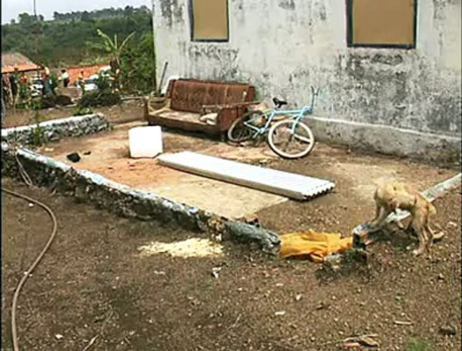 Prejuízos Chuva