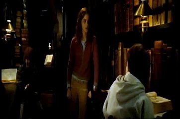 If I Were Gay-Harry Potter and Ron SLASH