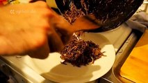 How To Cook Edible Insects for Dinner