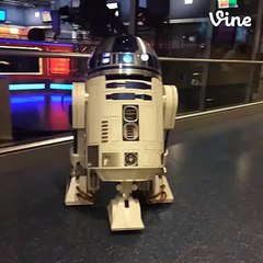 May the 4th be with you! Celebrate Star Wars day..?syndication=228326