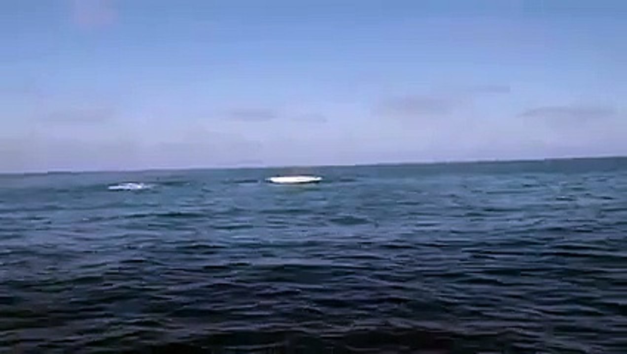 Viral Thread