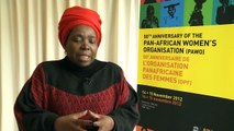 50th anniversary of the Pan-African Women's Organization