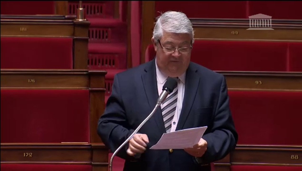 Opération Sentinelle : Question orale de Philippe Vitel