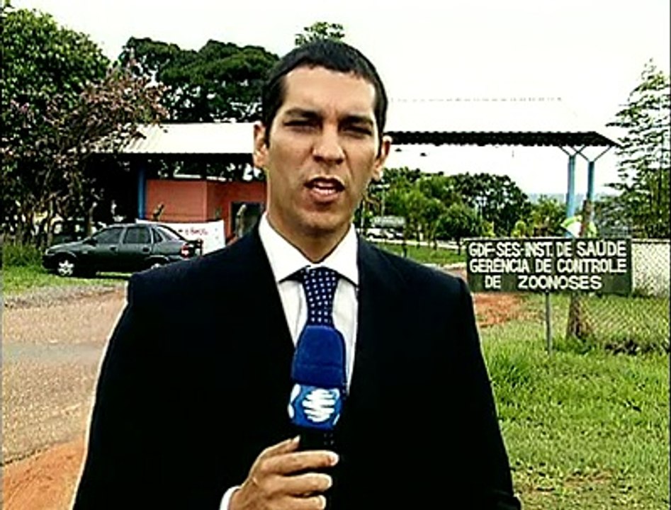 Vt vacinação raiva
