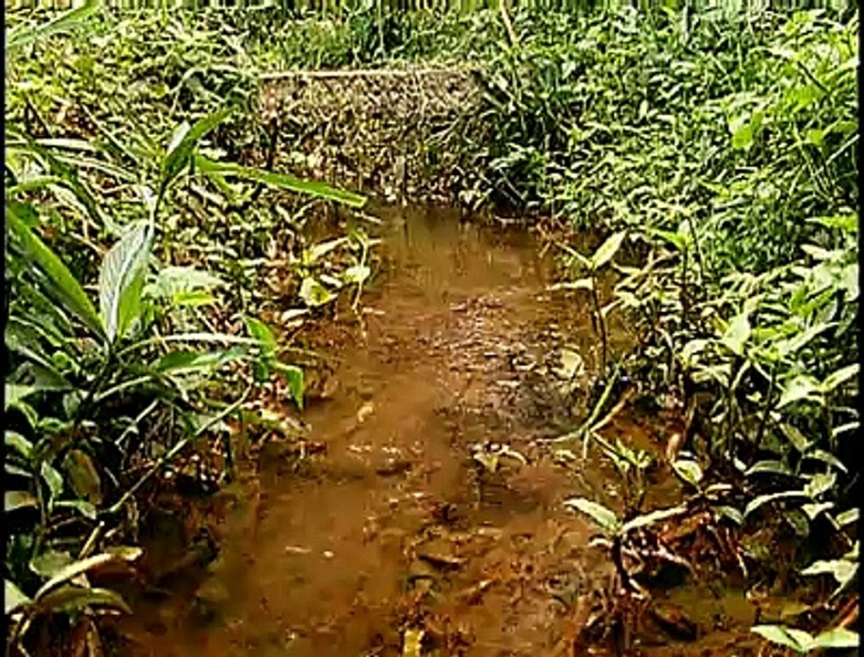 Água irregular