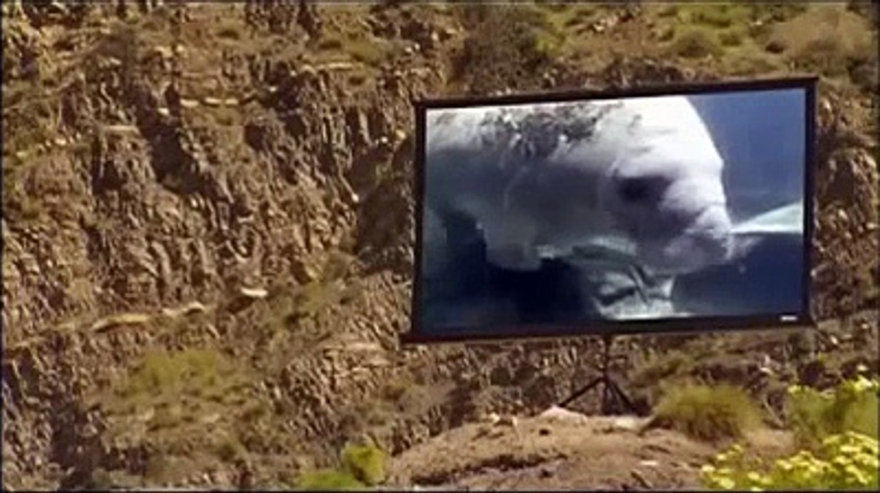 Animal Planet | Discovery Channel | Wild Life Documentary 2015 | National Geographic Wildl