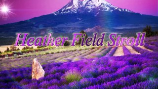 Chillout IDM ambient Music -Heather Field Stroll